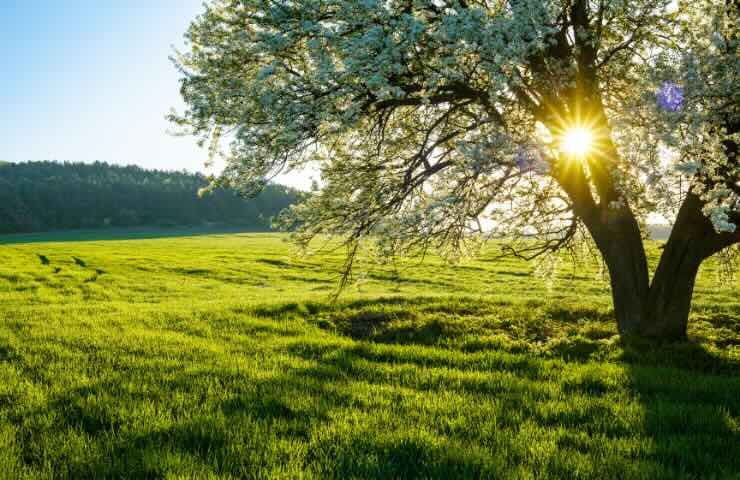 Meteo primi giorni di primavera: le previsioni